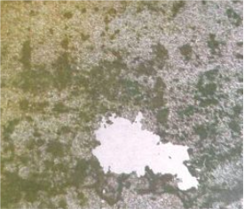 Bleach cleaning example #4 Bleach cleaning example #4