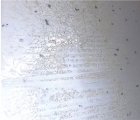 Bleach cleaning example #2 Bleach cleaning example #2
